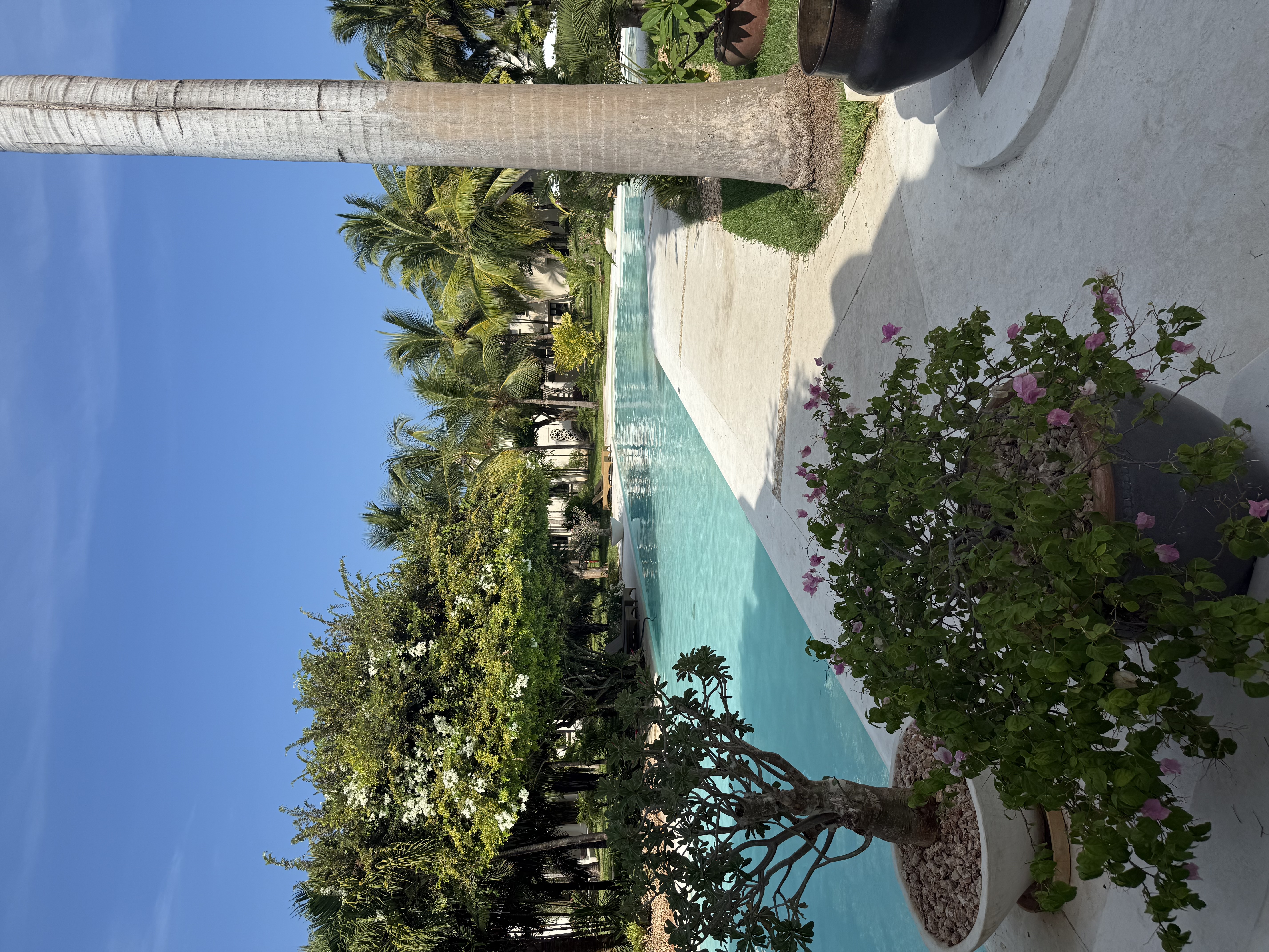 Palm-lined pool and gardens at a coastal Kenya resort